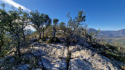 Jumelles_25_01-99