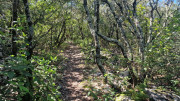 Logrian_25_04-101