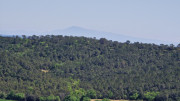 Logrian_25_04-104