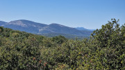 Logrian_25_04-106