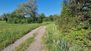 Logrian_25_04-11