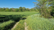 Logrian_25_04-12