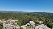 Logrian_25_04-134