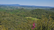 Logrian_25_04-135