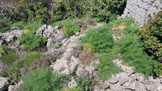 Logrian_25_04-143