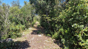Logrian_25_04-150