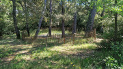 Logrian_25_04-160
