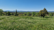 Logrian_25_04-170