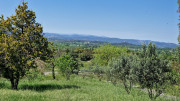 Logrian_25_04-174