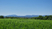 Logrian_25_04-183