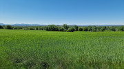 Logrian_25_04-186