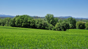 Logrian_25_04-187