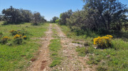 Logrian_25_04-191