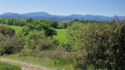 Logrian_25_04-196
