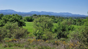 Logrian_25_04-198