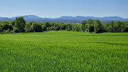 Logrian_25_04-201