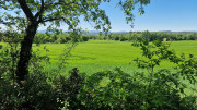 Logrian_25_04-203