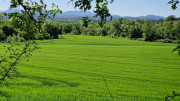 Logrian_25_04-204