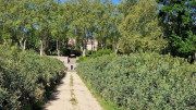 Logrian_25_04-23