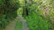 Logrian_25_04-44