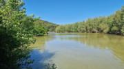Logrian_25_04-48