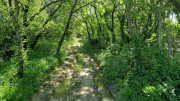 Logrian_25_04-50