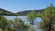 Logrian_25_04-52