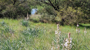 Logrian_25_04-54