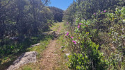 Logrian_25_04-61