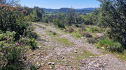 Logrian_25_04-62