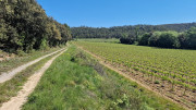 Logrian_25_04-80