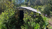 Logrian_25_04-92
