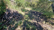 Logrian_25_04-95