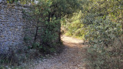 Rousson_25_09-21