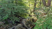 Rousson_25_09-27