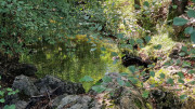 Rousson_25_09-28