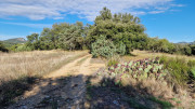 Rousson_25_09-6