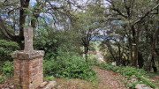 Rousson_25_09-69