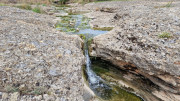 Rousson_25_09-74
