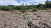 Rousson_25_09-75