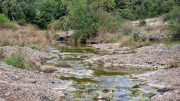 Rousson_25_09-76