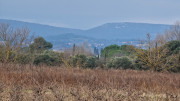 Villevieille_25_01-30
