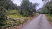 Villevieille_25_01-58