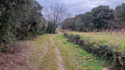 Villevieille_25_01-65