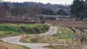 Villevieille_25_01-72