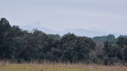 Villevieille_25_01-73
