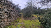 Villevieille_25_01-82