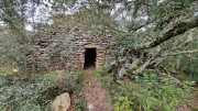 Villevieille_25_01-83