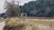 Villevieille_25_01-94