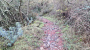Malavieille_25_12-110